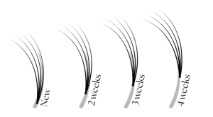 lash growth